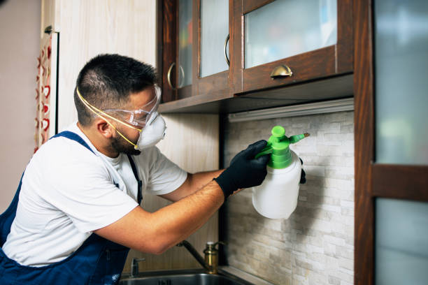 Professional Pest Control in Hilltop, MN
