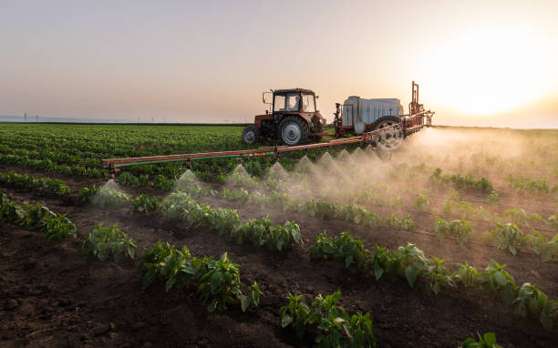 Best Pest Prevention Services  in Hilltop, MN