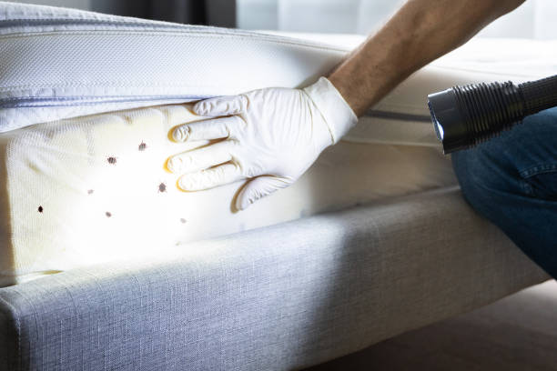 Pest Prevention Services in Hilltop, MN